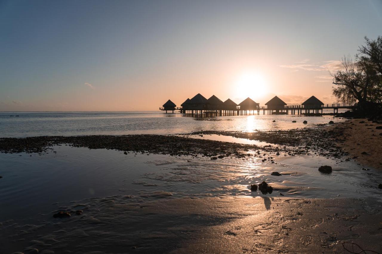 Douceur Tropicale Proximite Plage Et Commerces Пунауиа Екстериор снимка