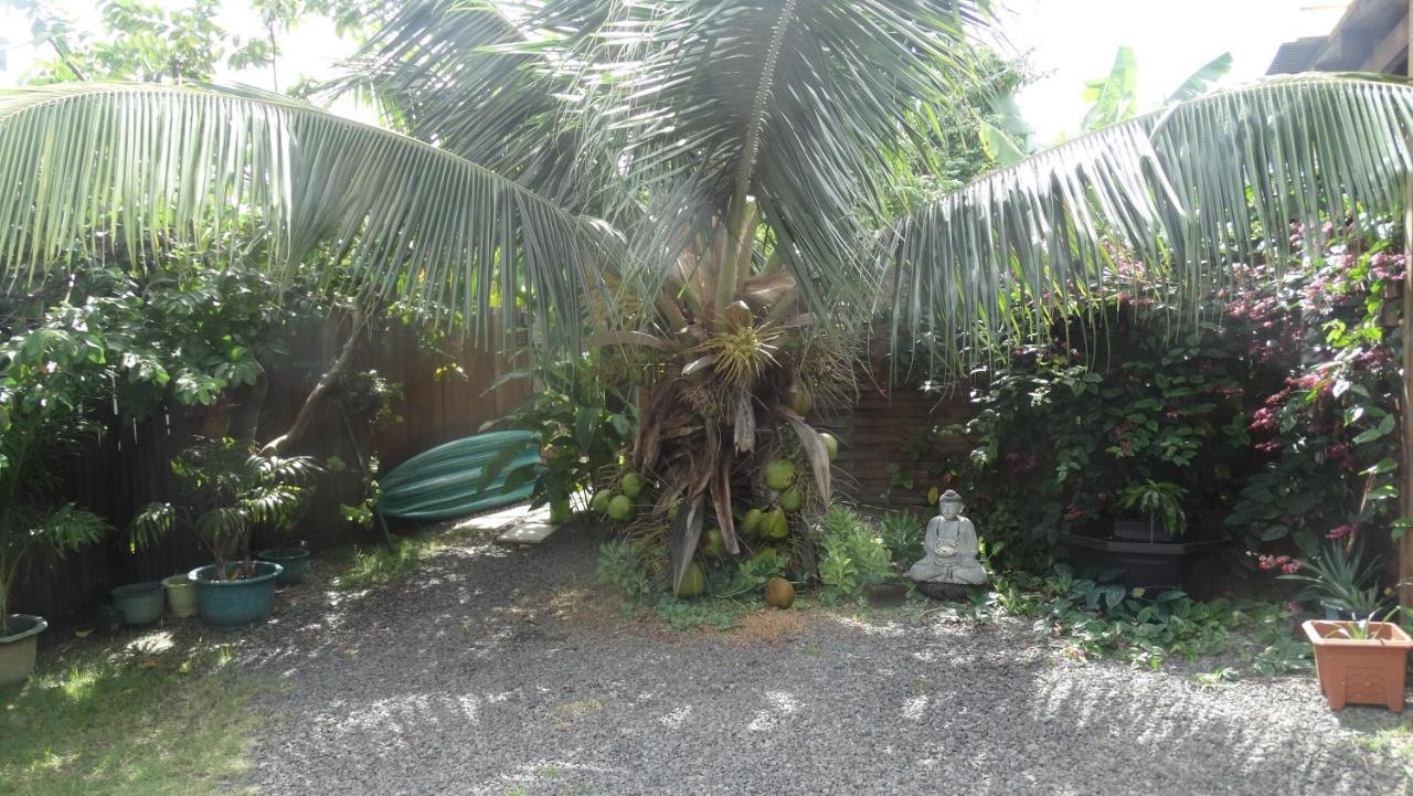 Douceur Tropicale Proximite Plage Et Commerces Пунауиа Екстериор снимка